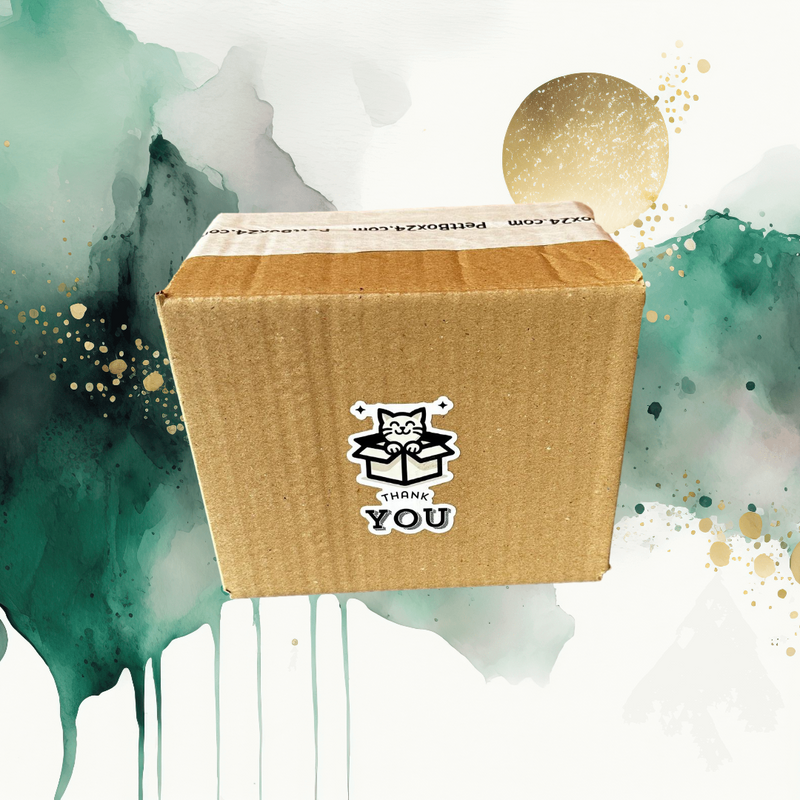 Ailurocat Box for Your Cat designed to pamper your feline with the bes